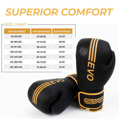 EVO Fitness Golden Boxing Gloves and Focus Pads Deal