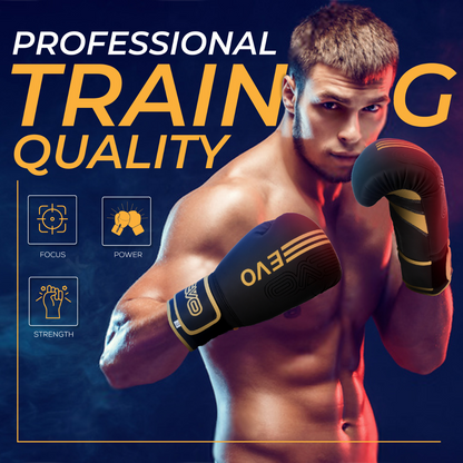 EVO Fitness Golden Boxing Gloves and Focus Pads Deal